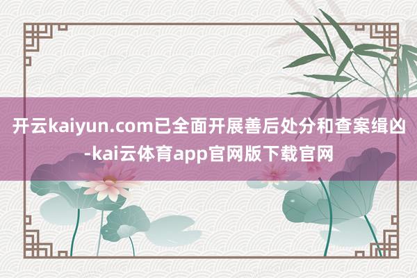 开云kaiyun.com已全面开展善后处分和查案缉凶-kai云体育app官网版下载官网