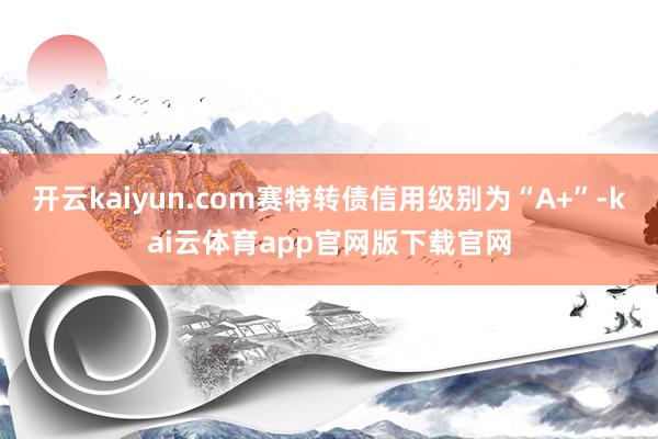 开云kaiyun.com赛特转债信用级别为“A+”-kai云体育app官网版下载官网